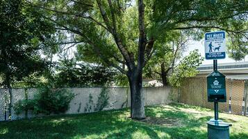 Lemmikkiystävällinen