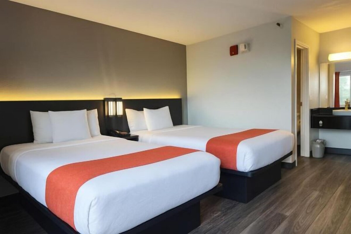 Ein Hotelzimmer mit zwei Betten, jeweils mit weißer Bettwäsche und orangenen Akzenten, einem schwarzen Kopfteil, einem Nachttisch mit Lampe und einer kleinen Mülleimer.