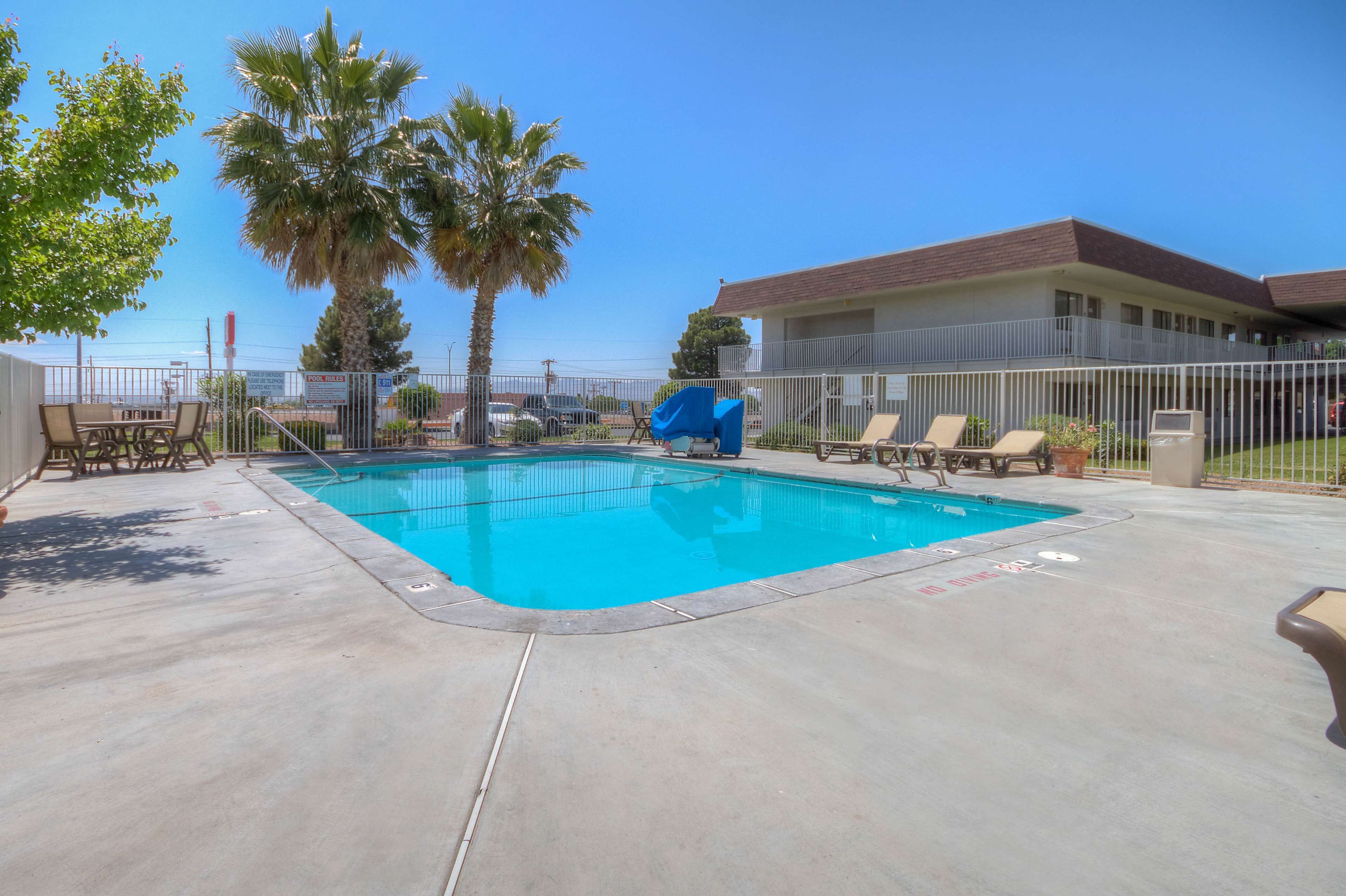 A swimming pool with lounge chairs and a palm tree, surrounded by a fenced area and a building in the background.