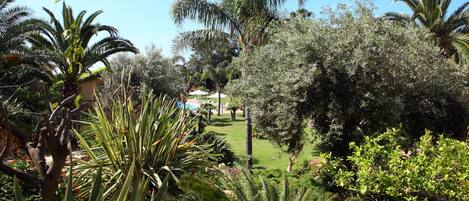 A lush garden with various tropical plants and a clear blue sky.