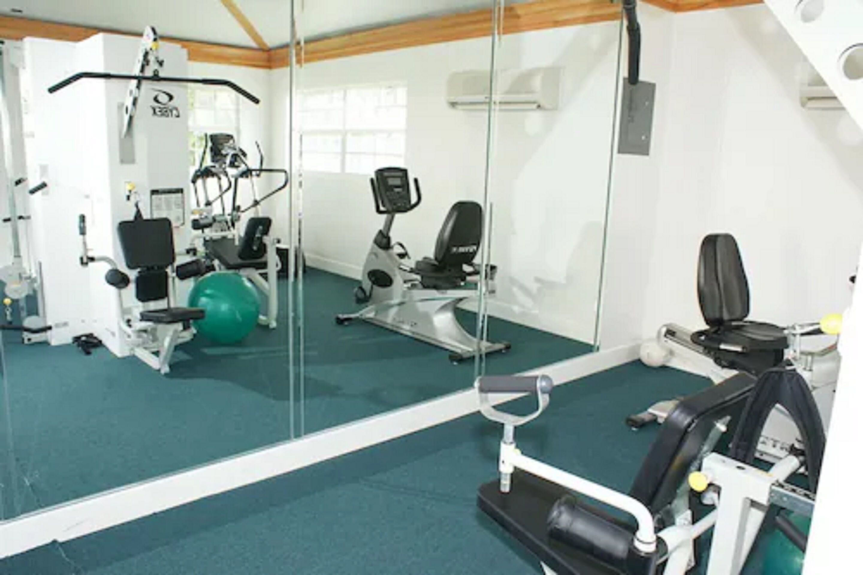 Une salle de sport équipée de matériel d’exercice, dotée d’un mur miroir et recouverte d’une moquette verte.