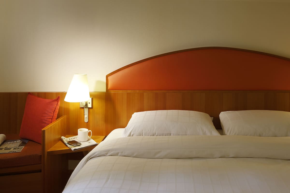 Standard Room, 1 Double Bed