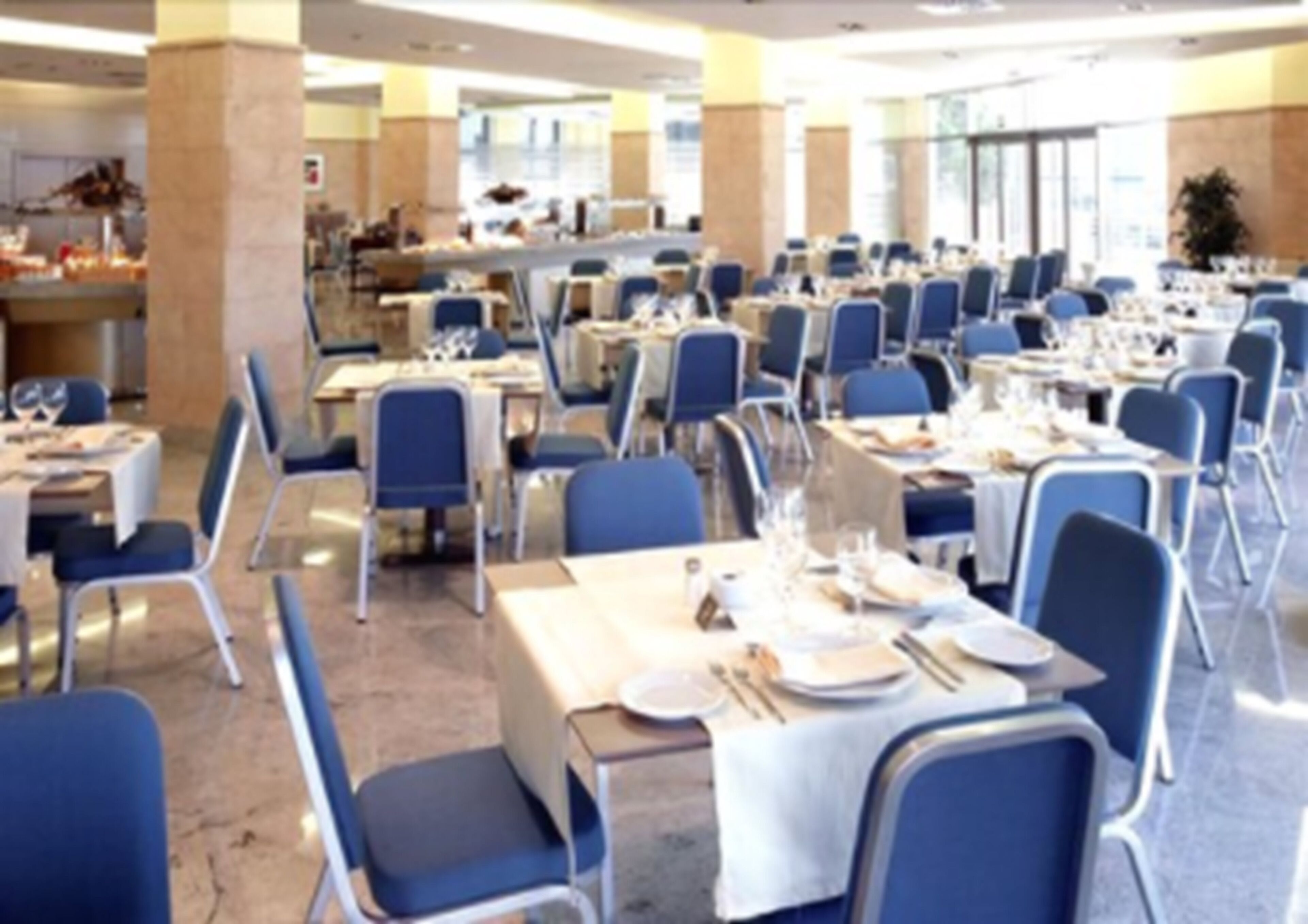 Un comedor amplio con varias mesas y sillas, dispuestas en filas.