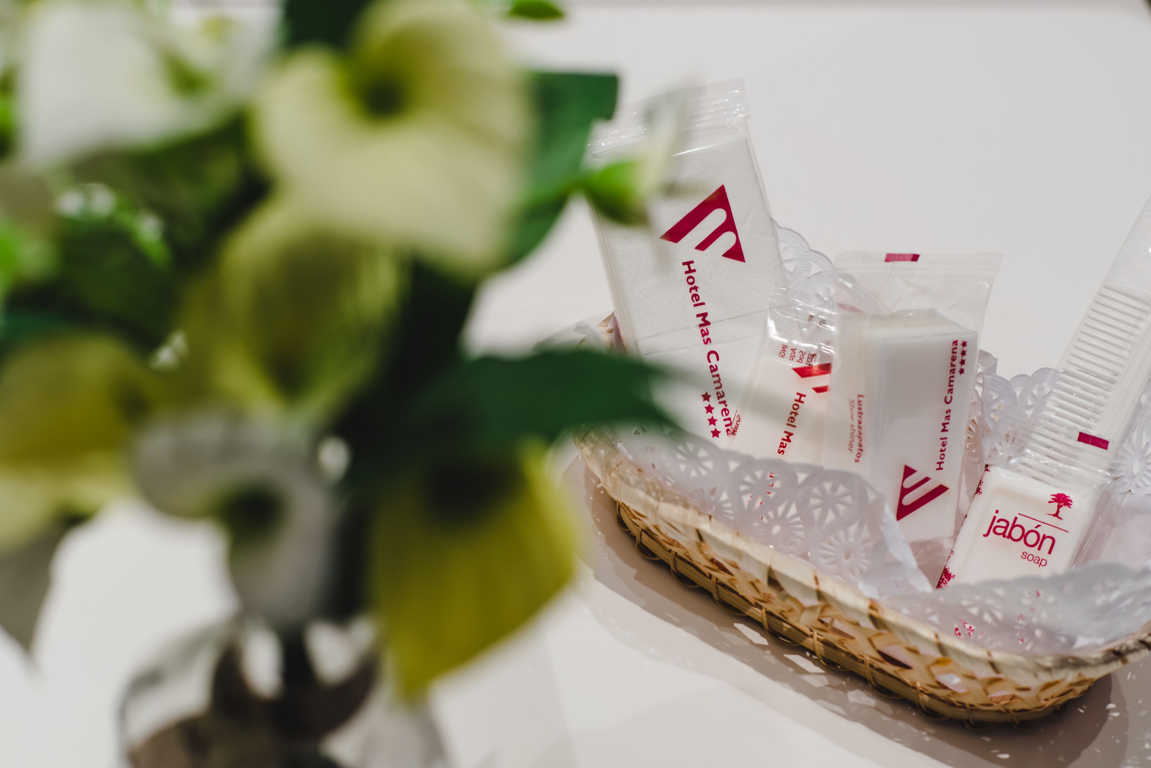 Foto - Hotel Mas Camarena