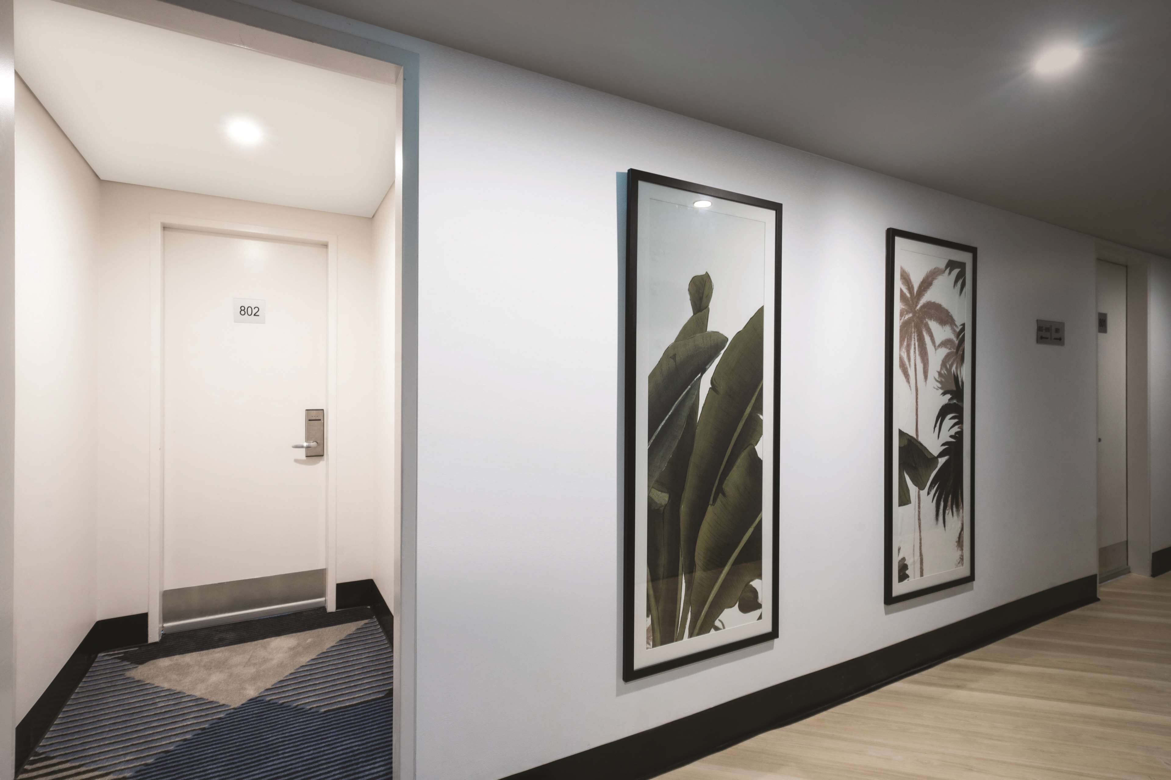 A hallway with framed artwork on the walls, a door with a number, and a carpeted floor.