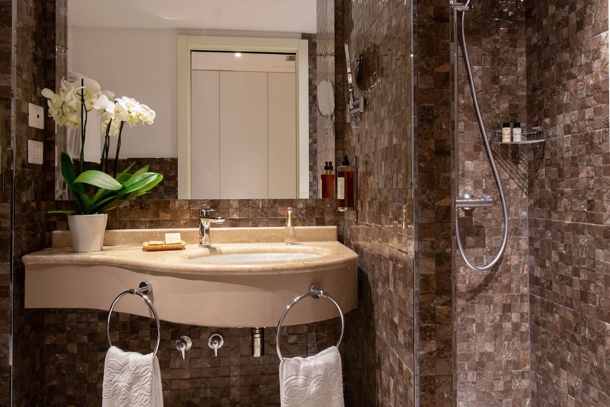 combined shower/bathtub, free toiletries, hair dryer, bidet