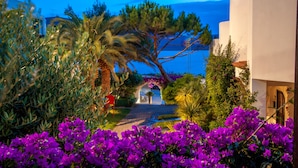 Un chemin mène à un bâtiment blanc doté d’une entrée couverte, entouré d’une végétation luxuriante et de fleurs violettes.