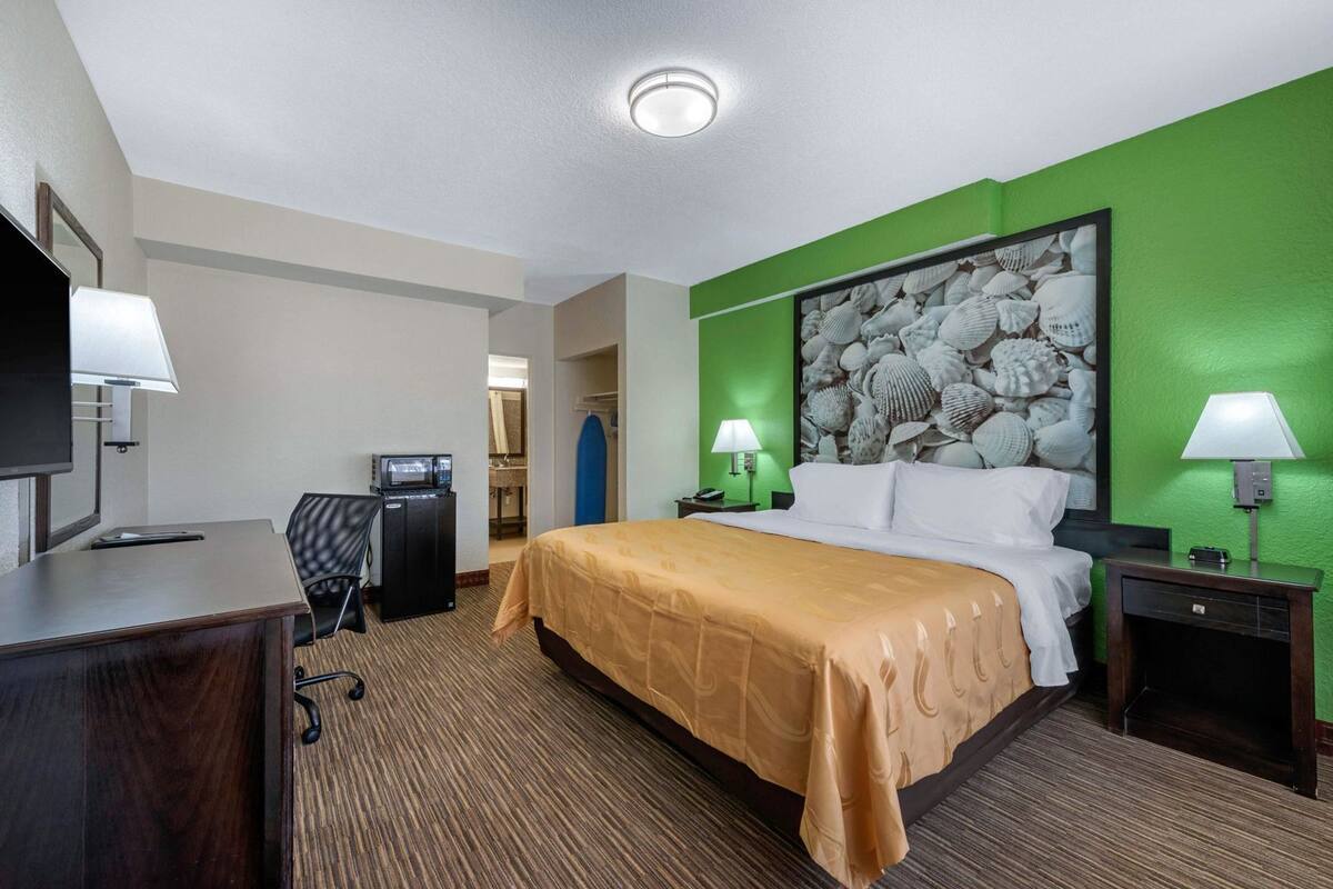 A hotel room with a bed, desk, chair, TV, and a green accent wall.