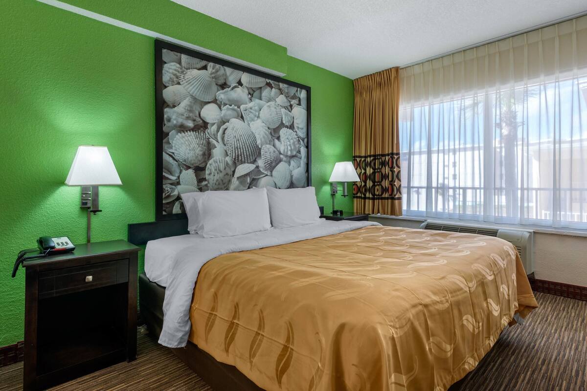 A hotel room with a green wall, a large seashell mural, a bed with a beige blanket, two bedside lamps, a nightstand with a phone, and a window with curtains.