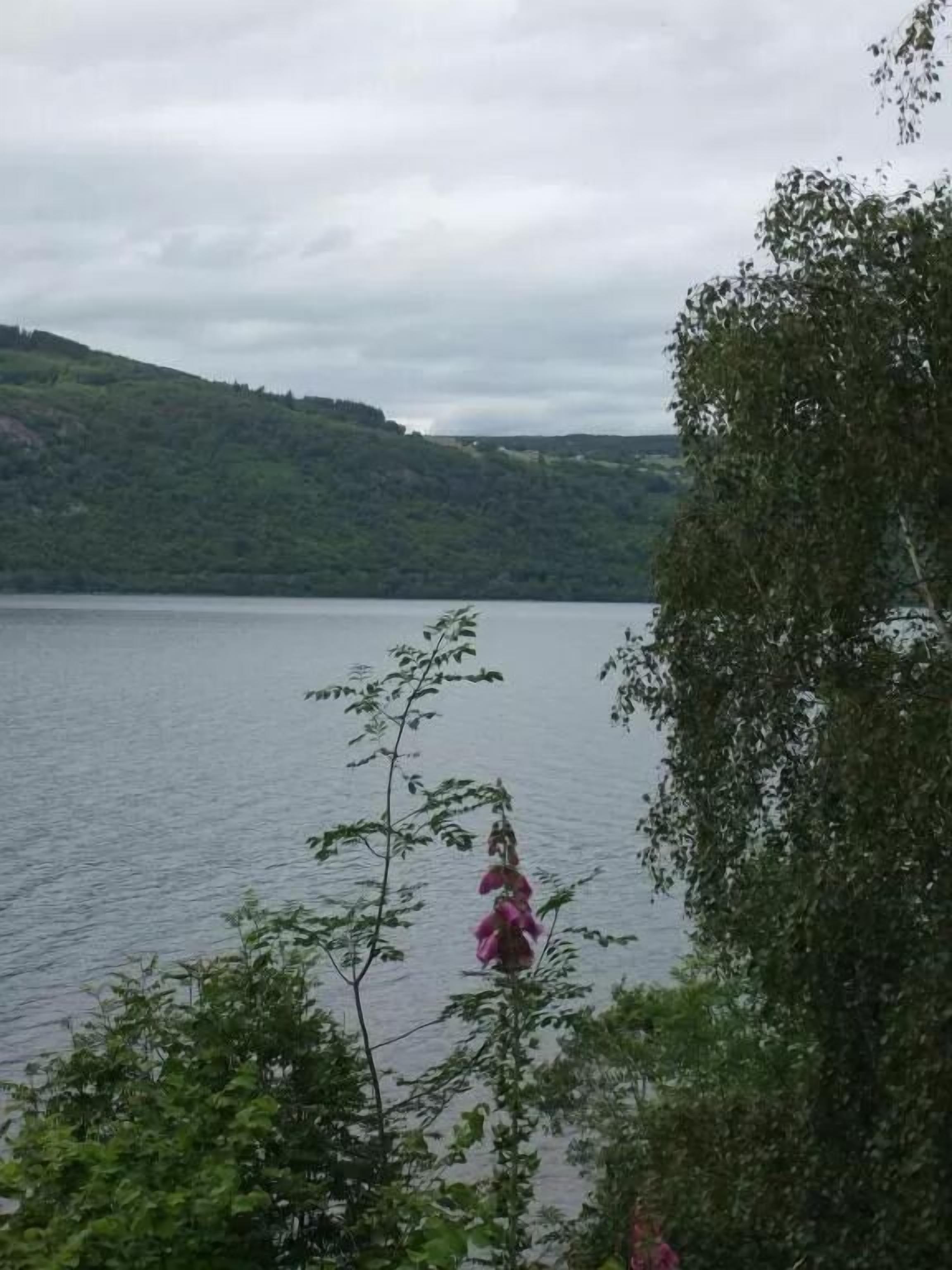 Une vue sur un lac entouré de collines et d’une végétation luxuriante.