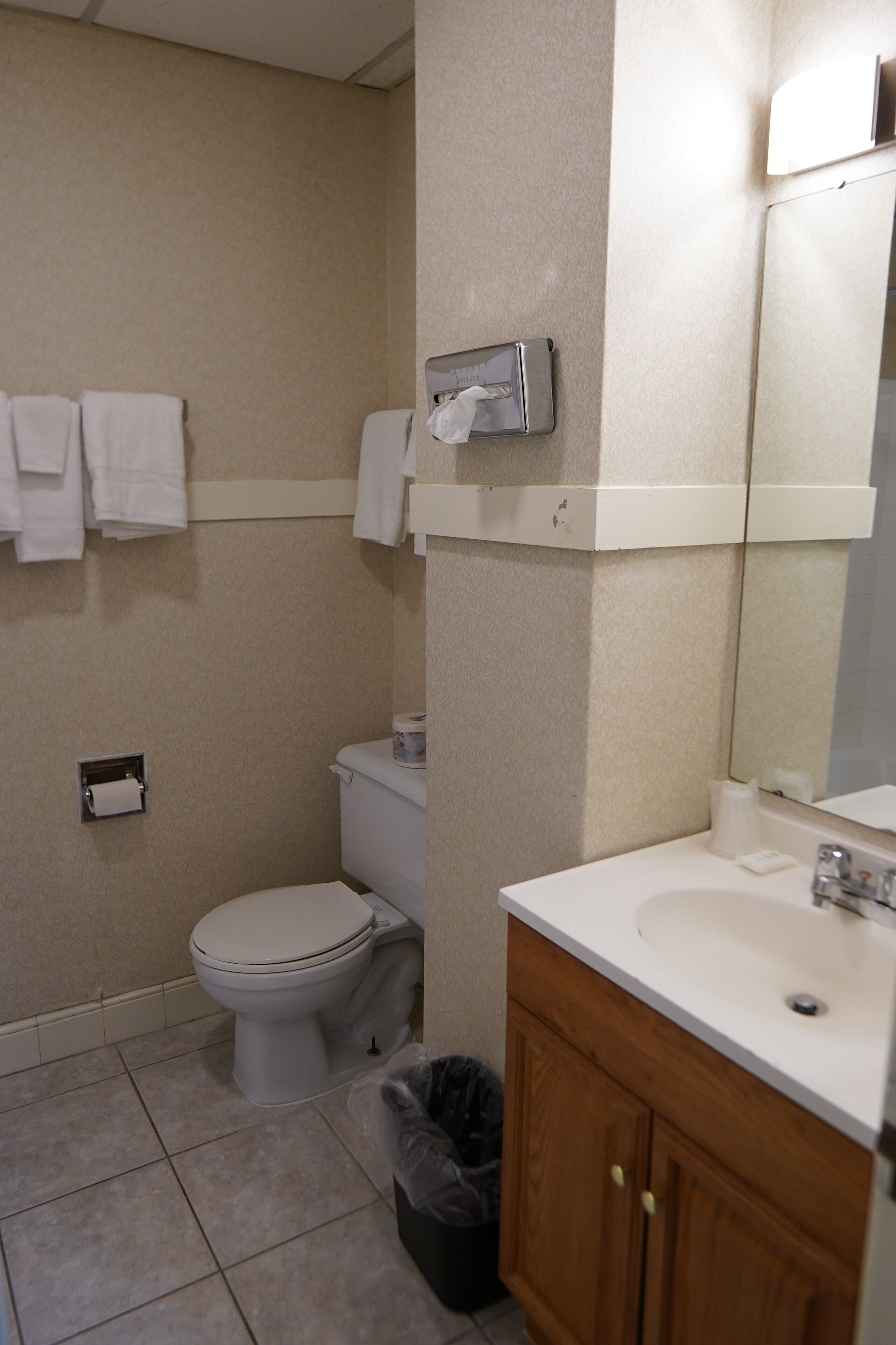 A bathroom with a toilet, sink, mirror, and towel rack.