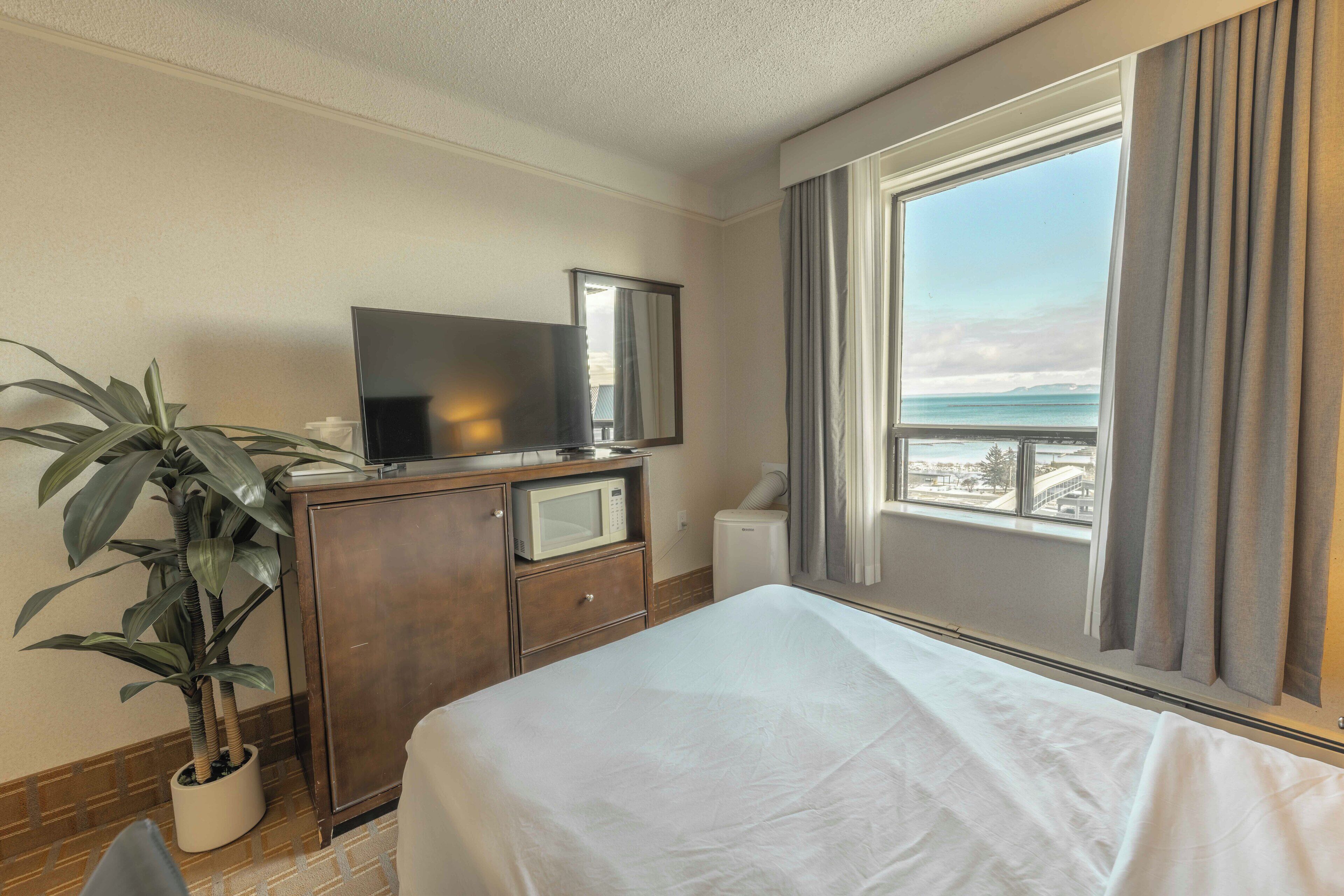 A hotel room with a bed, a television on a wooden cabinet, a microwave, a potted plant, and a view of the sea.