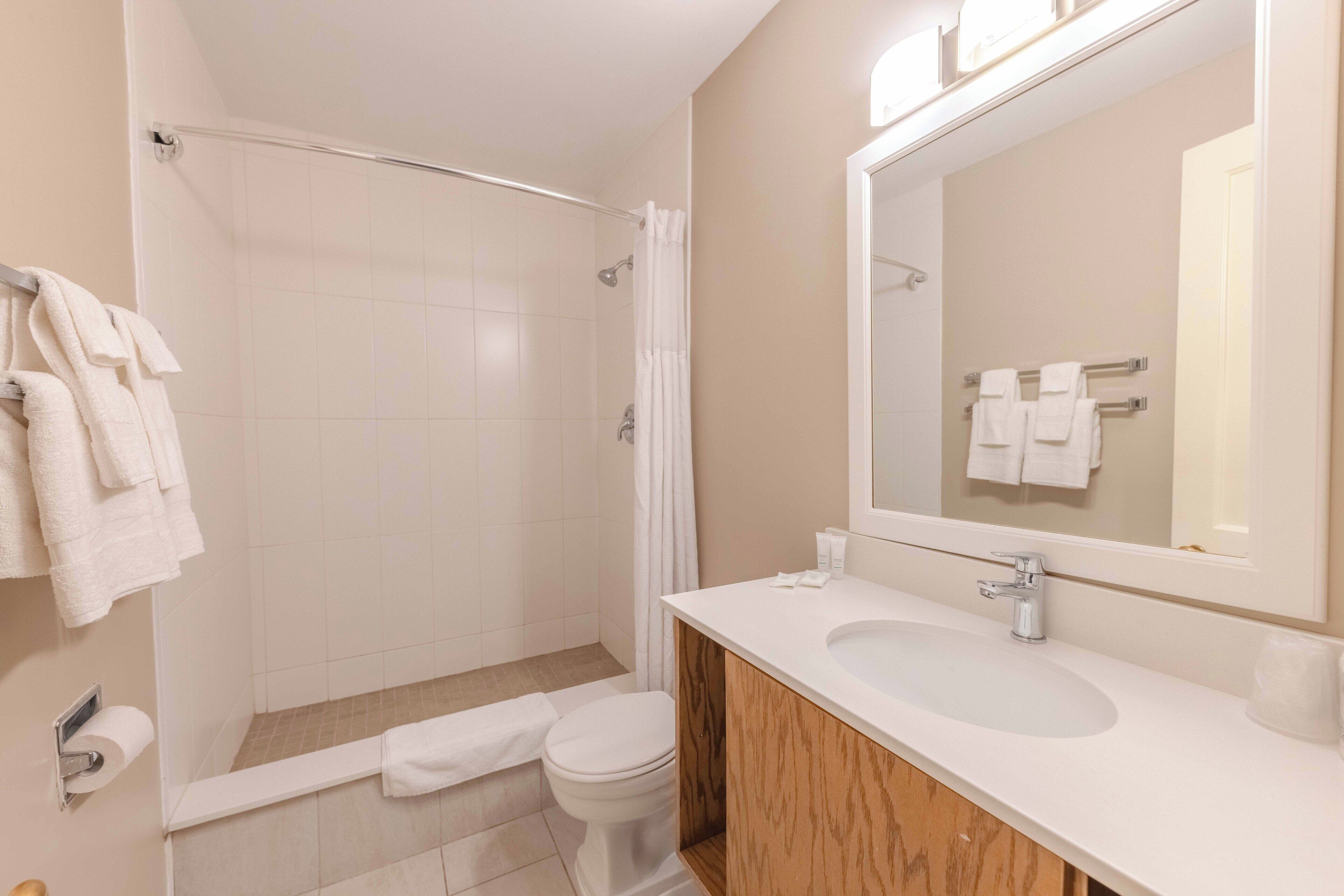 A modern bathroom with a shower, toilet, sink, and mirror.