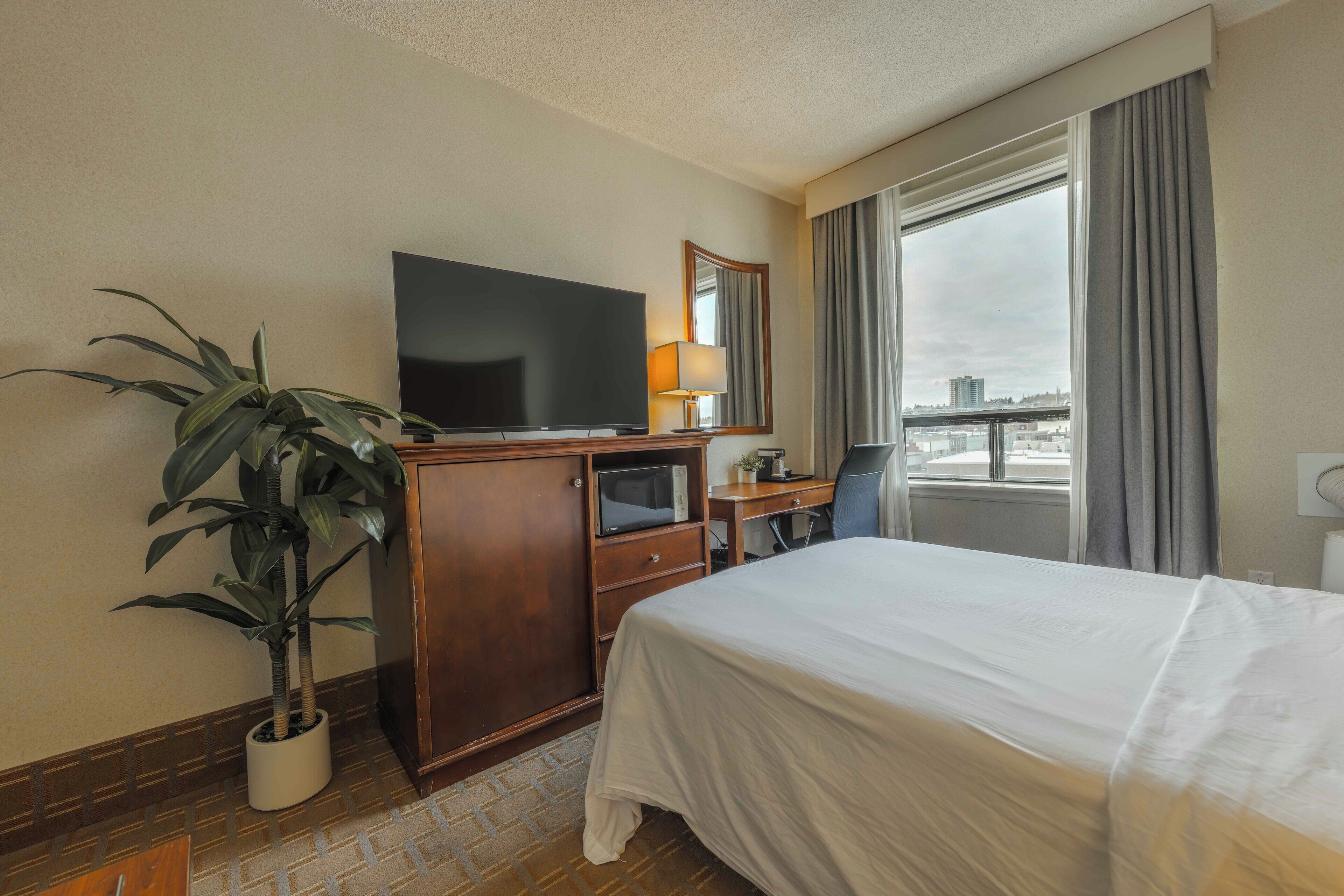 A hotel room with a bed, a TV, a desk, a chair, a potted plant, and a large window with curtains.