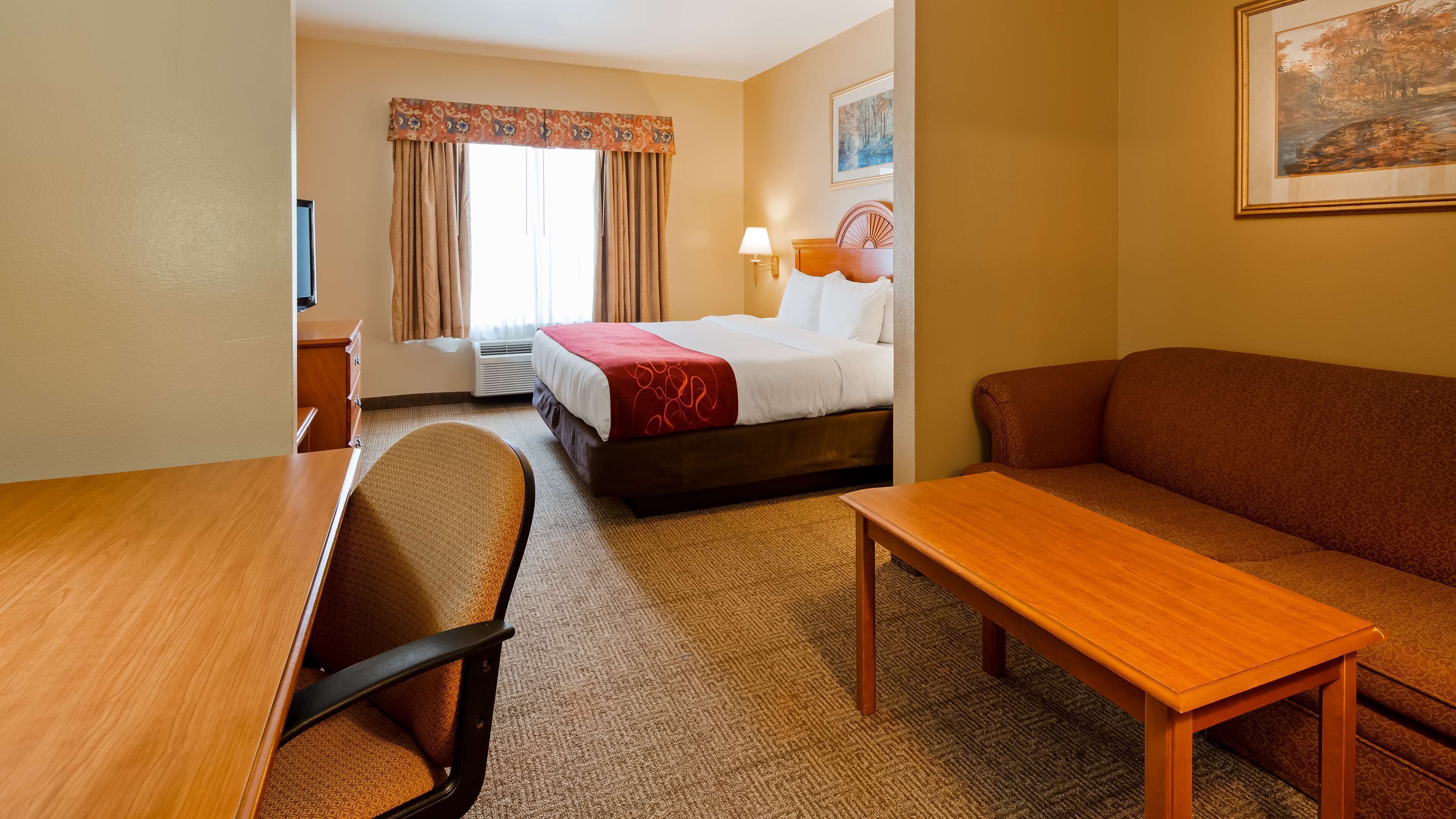 Una habitación de hotel con una cama, un sofá, un escritorio y una silla.