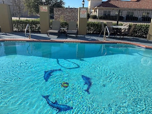 Piscine extérieure en saison, parasols, chaises longues