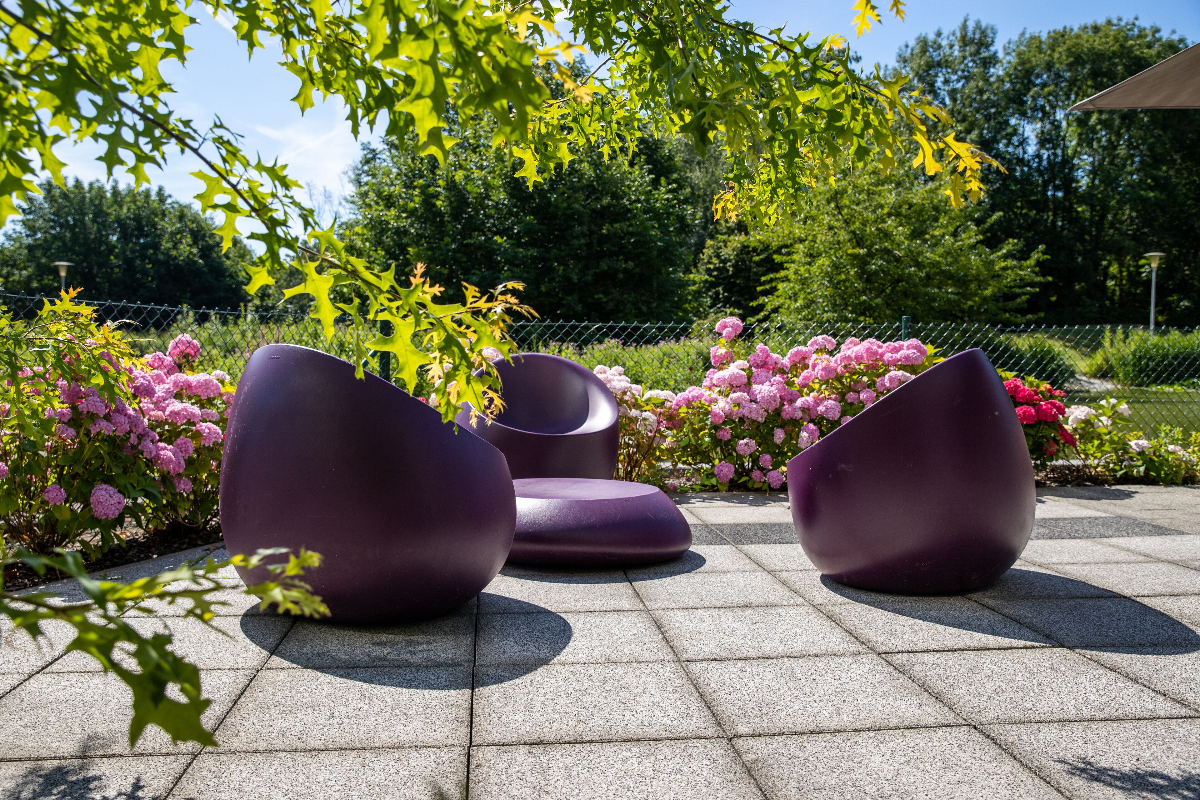 Three purple chairs in an outdoor seating area with a paved floor, surrounded by pink flowers and green foliage.