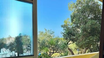 Basic Double or Twin Room | Terrace/patio