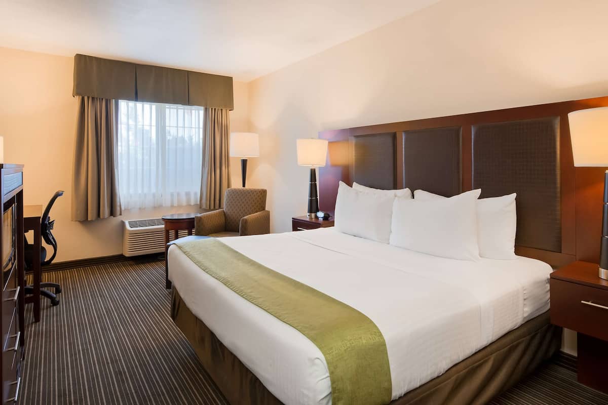 A hotel room with a large bed, two bedside lamps, a desk with a chair, a TV, and a window with curtains.