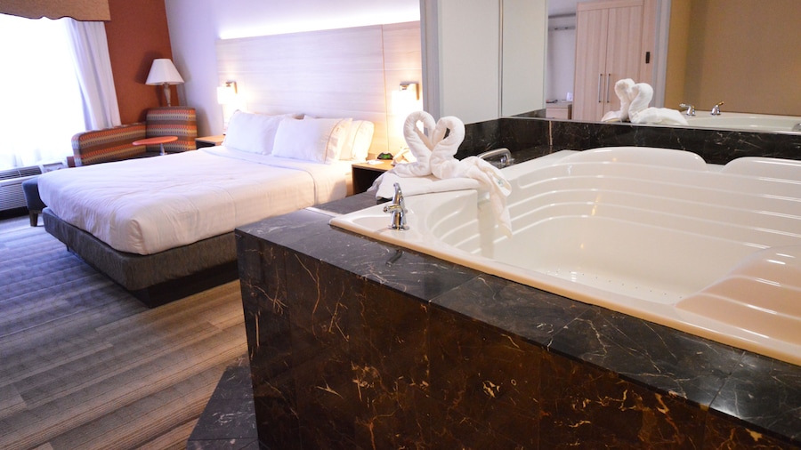 Holiday Inn Express Toledo-Oregon by IHG