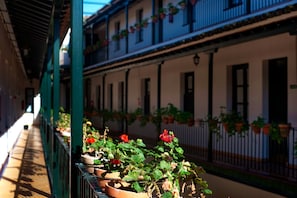 Vistas desde la habitación