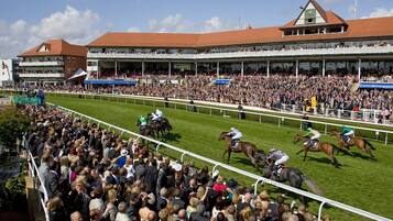 A horse race with spectators in a stadium.