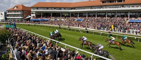 A horse race with spectators in a stadium.