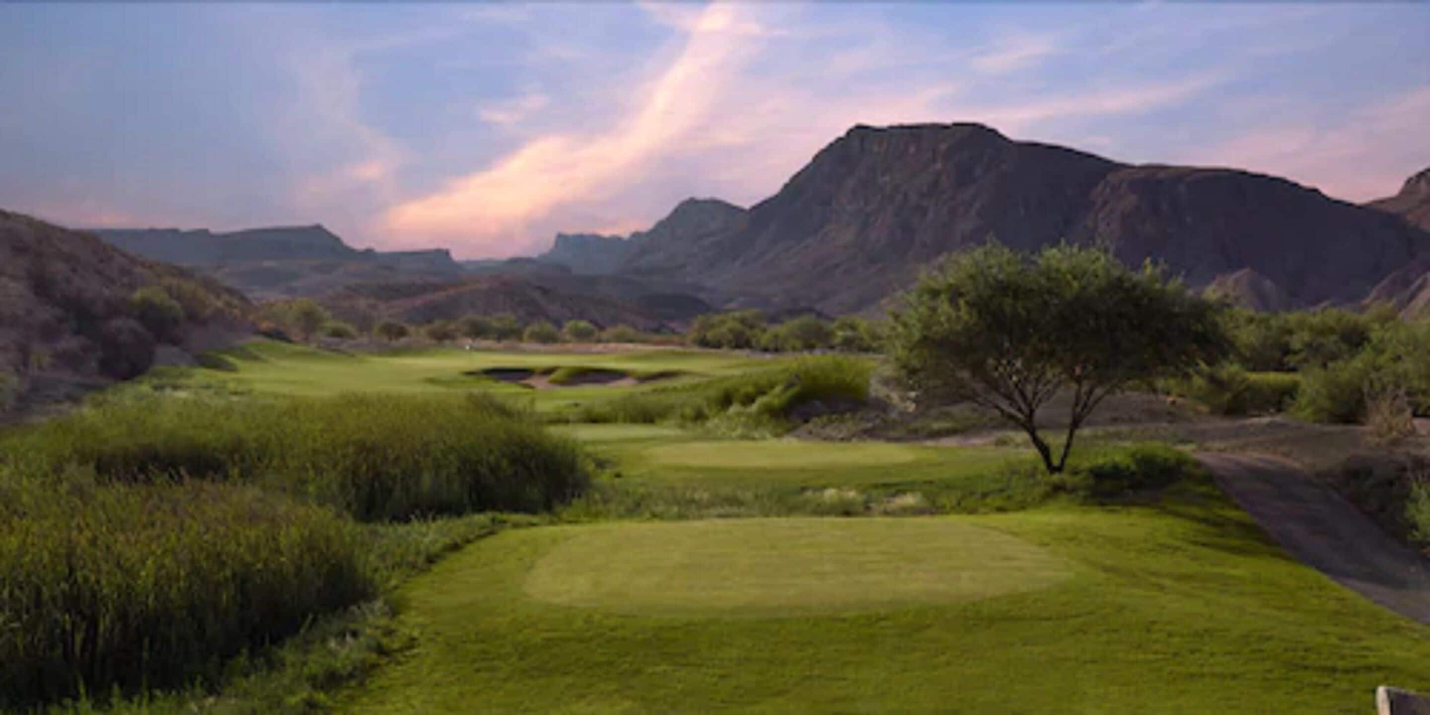 A golf course with a large tree, rolling hills, and mountains in the background.
