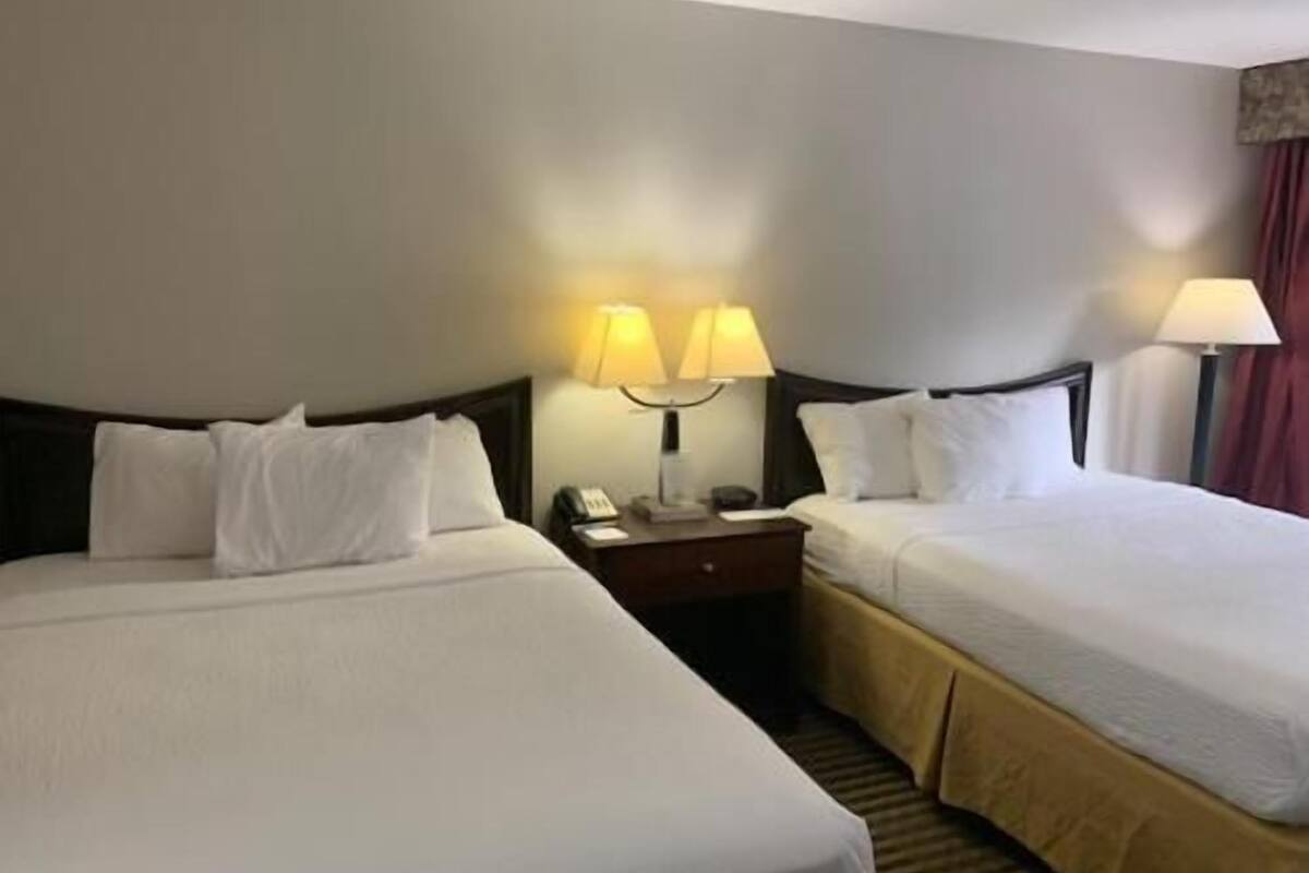 Schreibtisch, laptopgeeigneter Arbeitsplatz, Verdunkelungsvorhänge