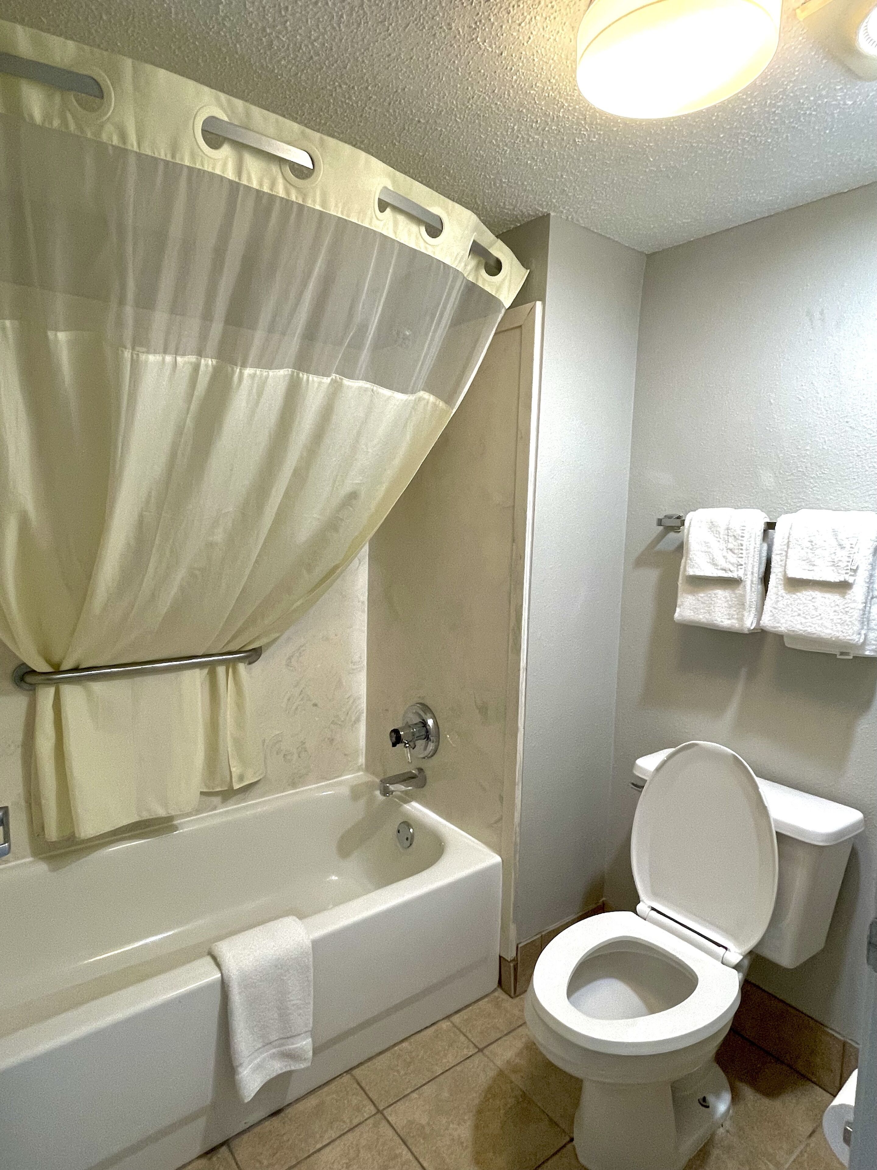A bathroom with a bathtub, toilet, and a shower curtain.