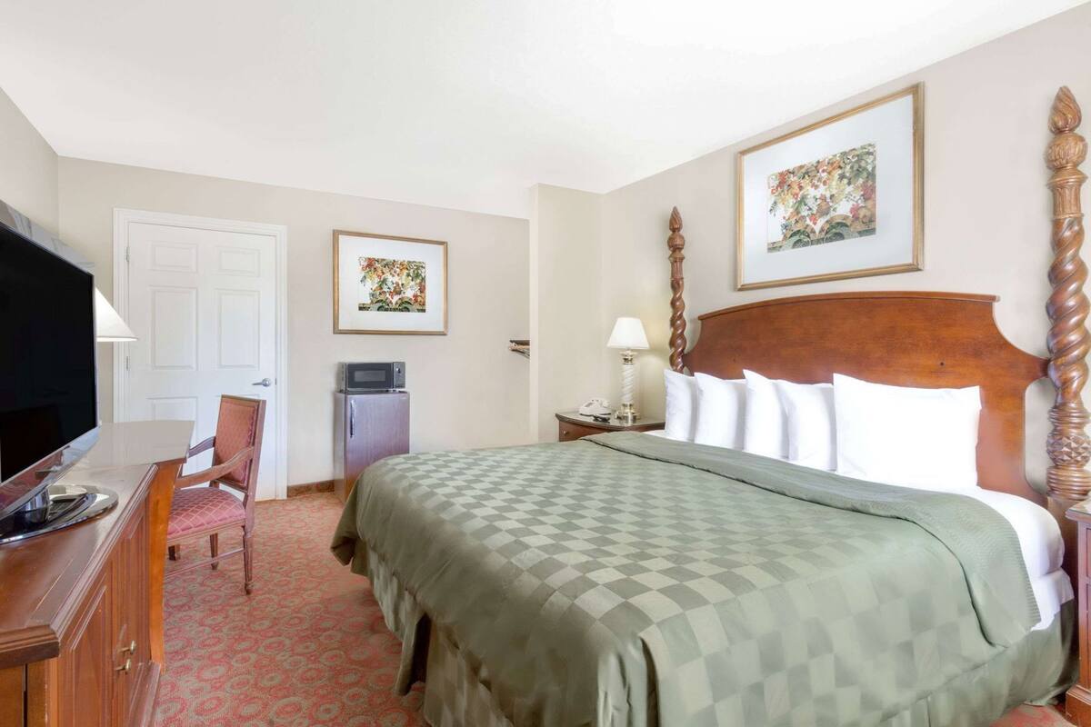 Habitació d'hotel amb un llit, escriptori amb televisió, cadira, nevera i dos quadres penjats a la paret.