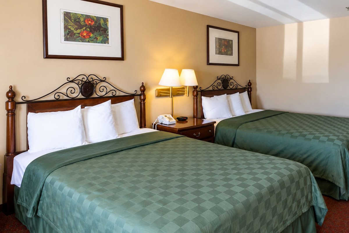 Desk, WiFi (free), bed sheets