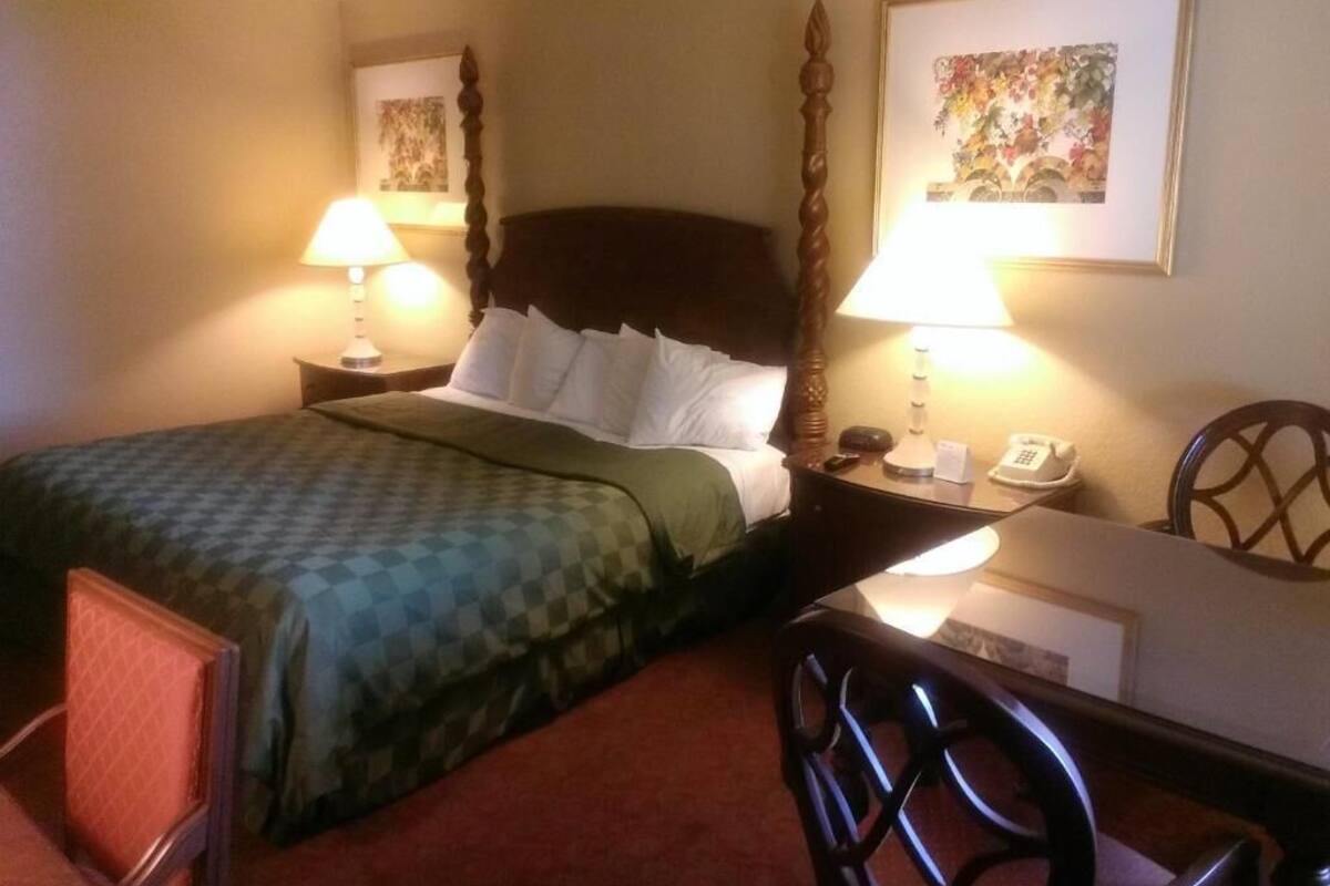 Desk, free WiFi, bed sheets