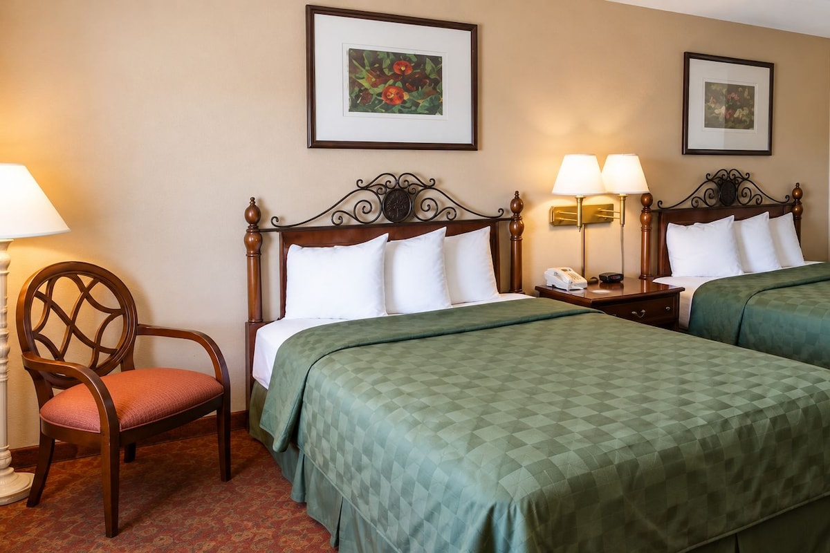 Desk, WiFi (free), bed sheets
