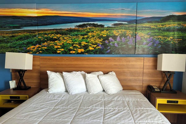 Room, 1 King Bed, Non Smoking | Desk, free WiFi, bed sheets, alarm clocks
