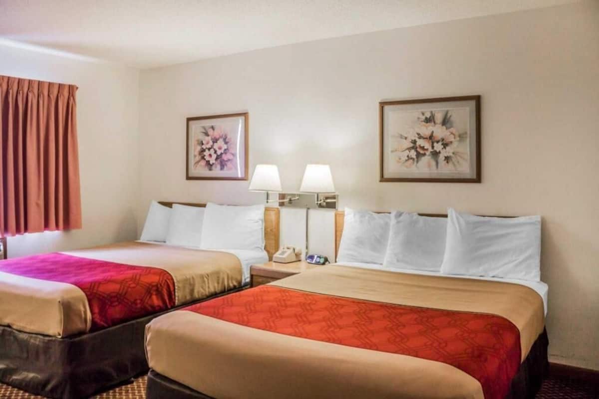 Habitación de hotel con dos camas, cada una con colcha roja y color beige, dos lámparas de noche y cuadros con motivos florales en las paredes.