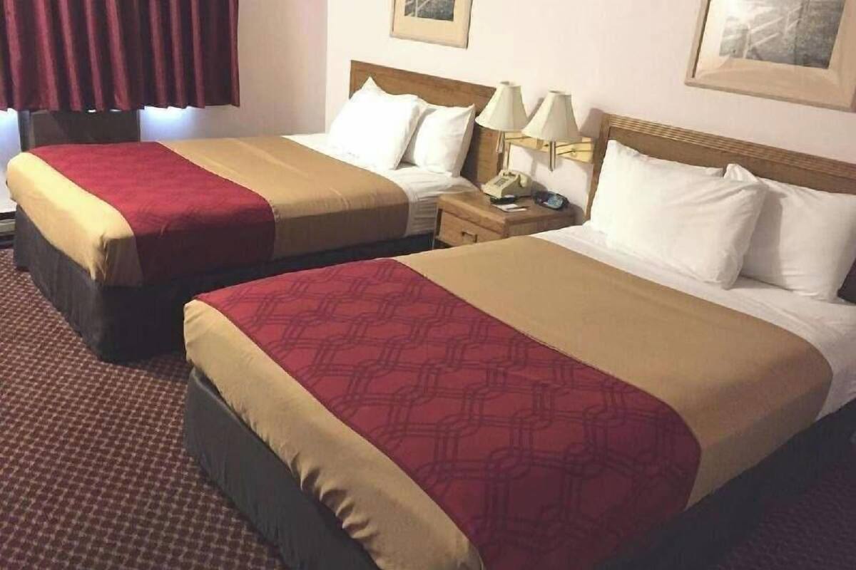 Desk, soundproofing, iron/ironing board, free WiFi
