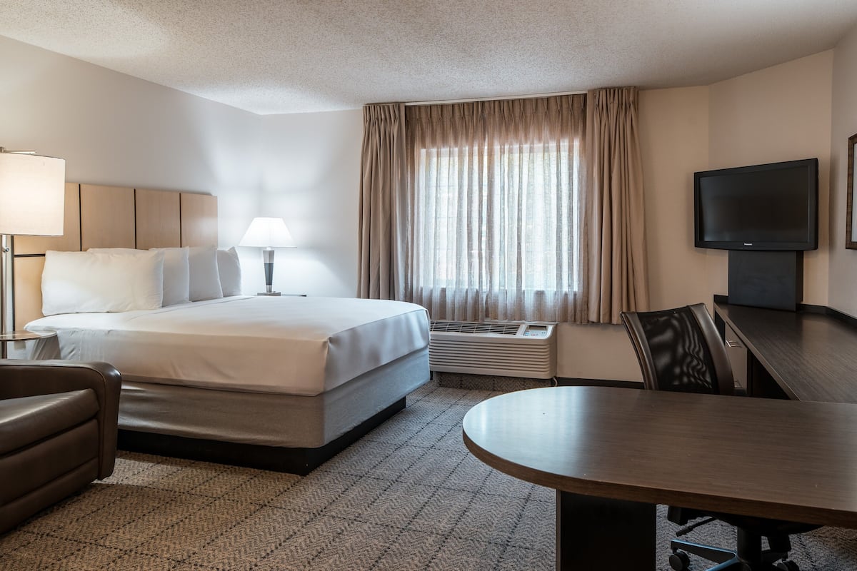 A hotel room with a bed, a desk, a chair, a television, and a window with curtains.