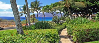 Maui Kamaole - Maui Condo & Home