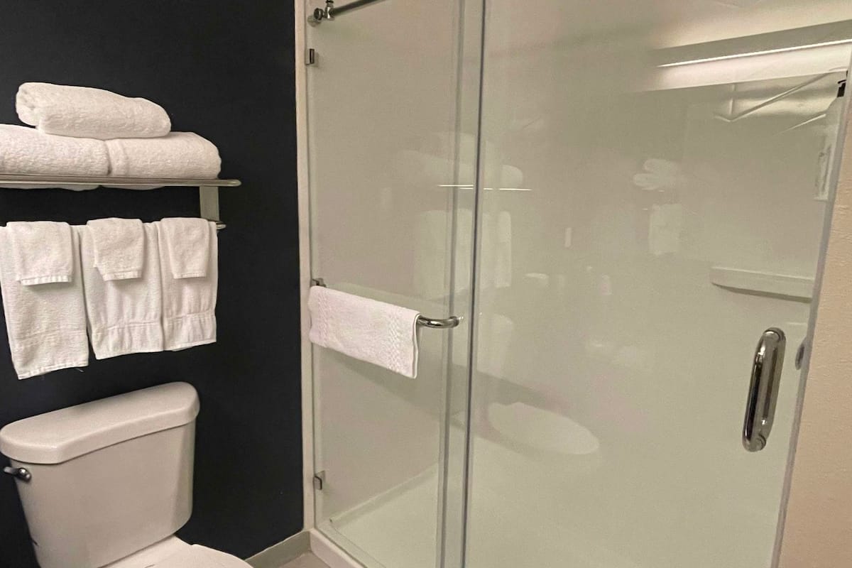 Zimmer, 1 King-Bett (Hearing Accessible) | Badezimmer | Kostenlose Toilettenartikel, Haartrockner, Handtücher, Seife