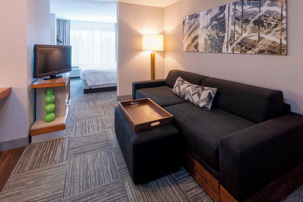 Une chambre d’hôtel moderne avec un canapé de couleur sombre, une table d’appoint en bois sur laquelle se trouve un plateau, une télévision et un tableau accroché au mur.