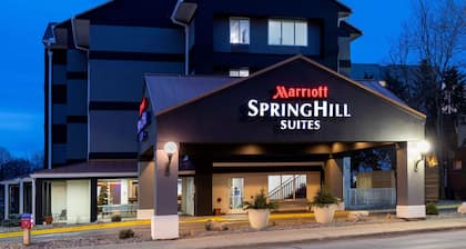 SpringHill Suites by Marriott Rochester-Mayo Clinic/St Marys