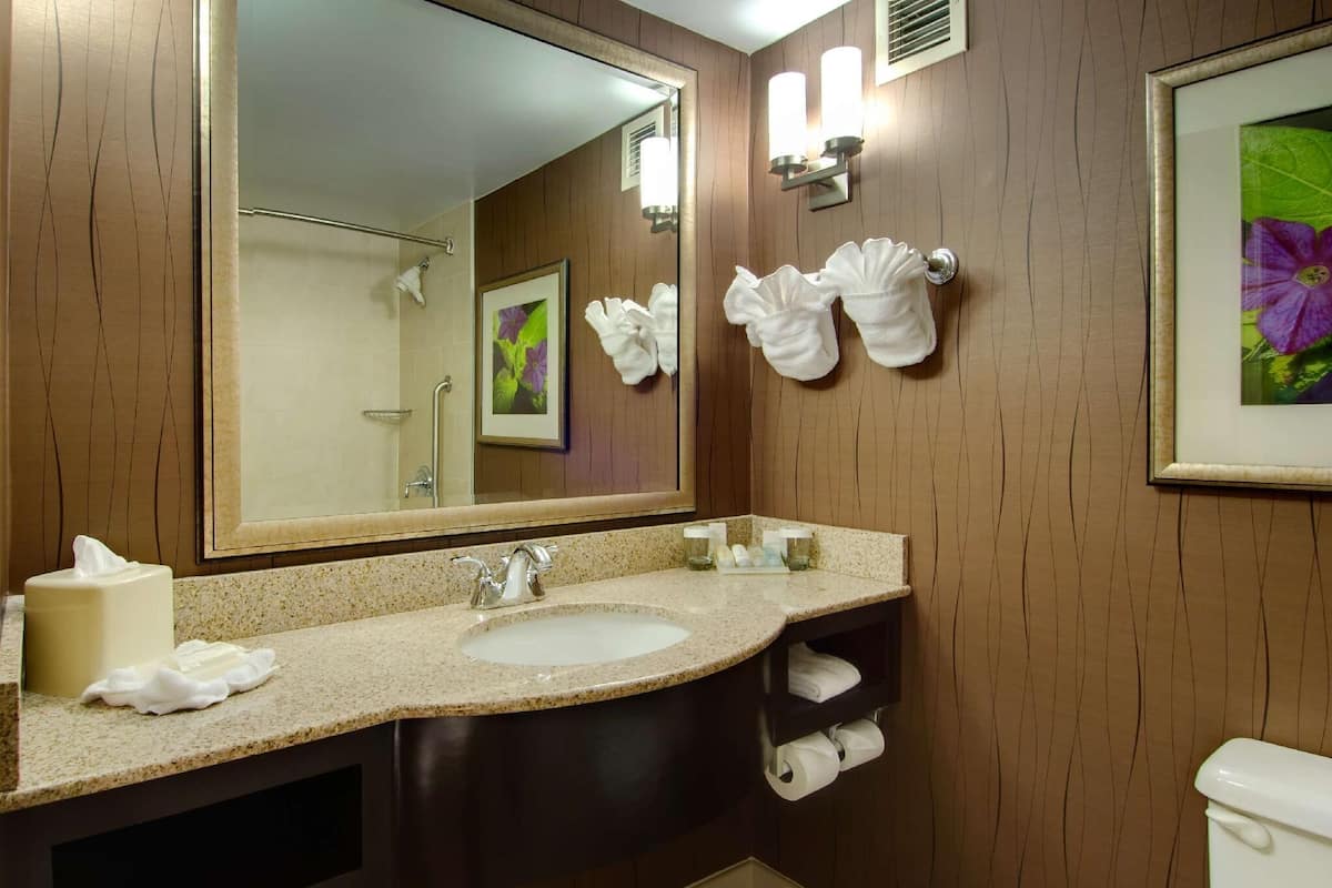 Combined shower/tub, free toiletries, hair dryer, towels