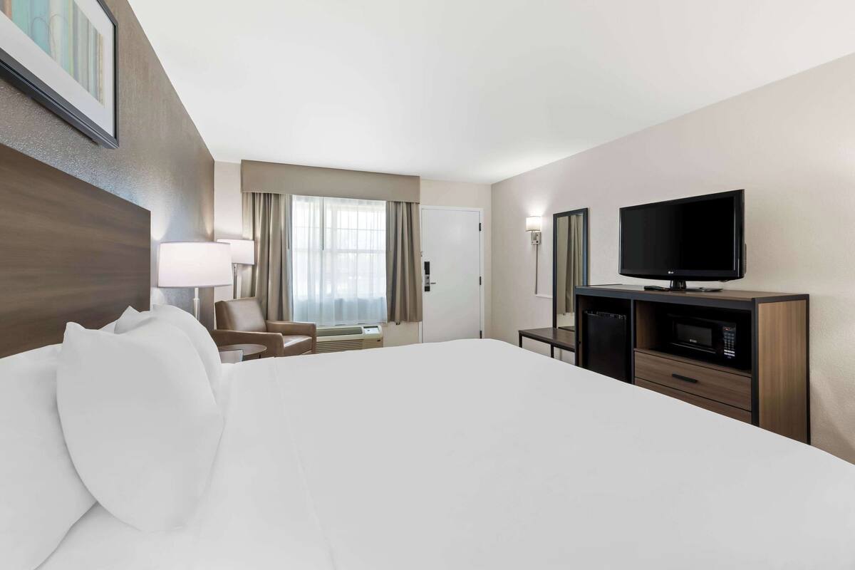 Una habitación de hotel con una cama grande, televisión, escritorio y una silla.
