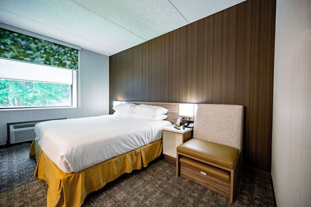 room, 1 king bed, non smoking | hypo-allergenic bedding, desk, laptop workspace, iron/ironing board