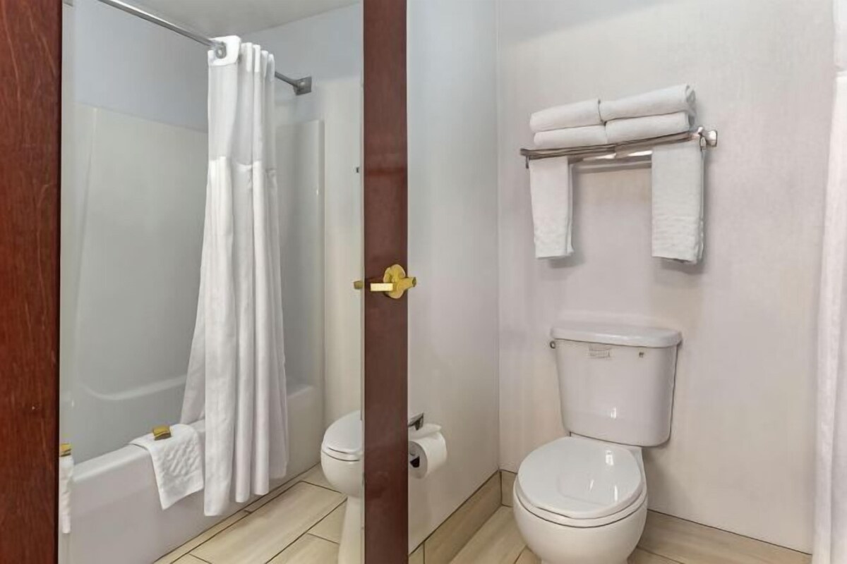 A bathroom with a shower, toilet, and towel rack.