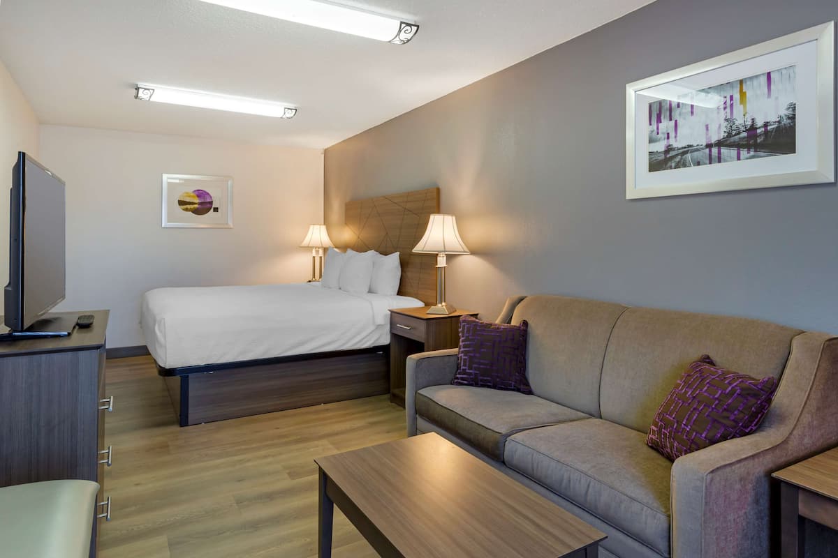 Una habitación de hotel con una cama, un sofá, un televisor y dos lámparas de noche.