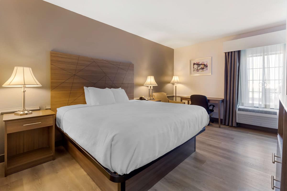 Una habitación de hotel moderna con una cama grande, dos mesitas de noche con lámparas, un escritorio y una silla.