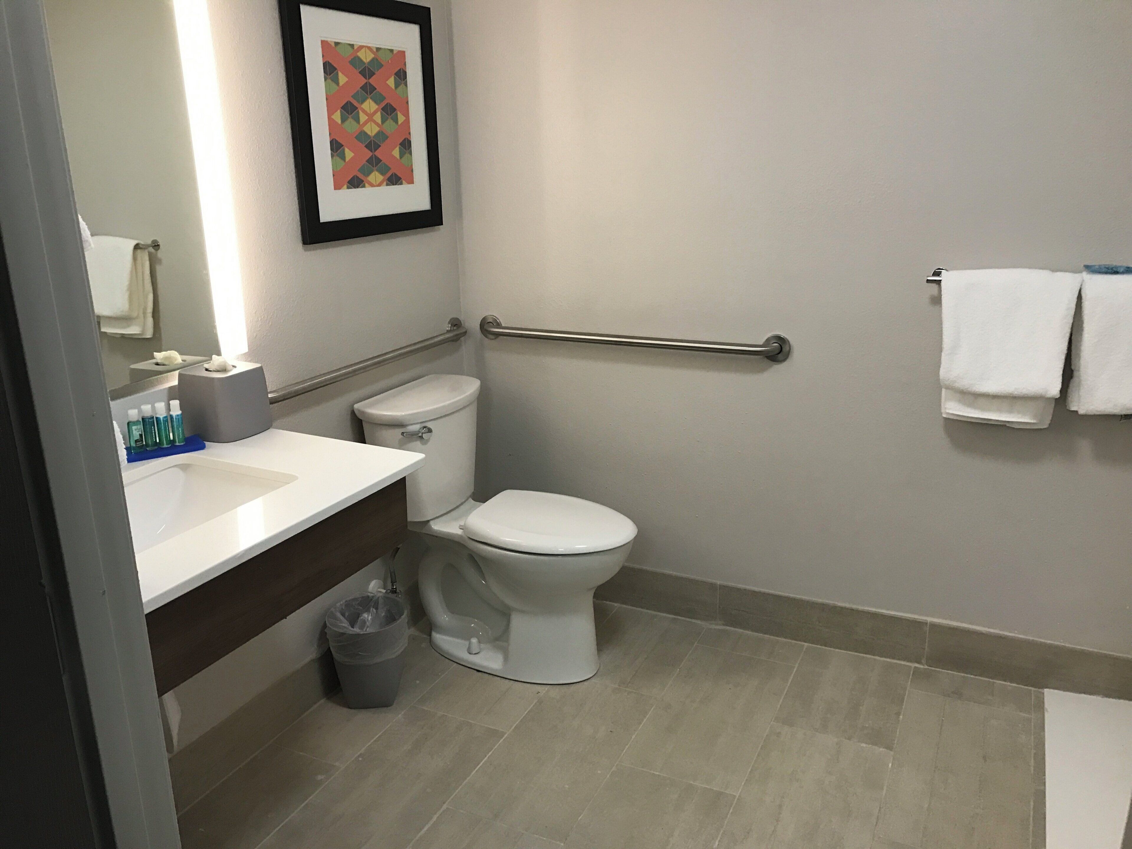 Ein Badezimmer mit weißer Toilette, einem Waschbecken mit Spiegel, einem gerahmten Bild an der Wand und einer Haltestange.