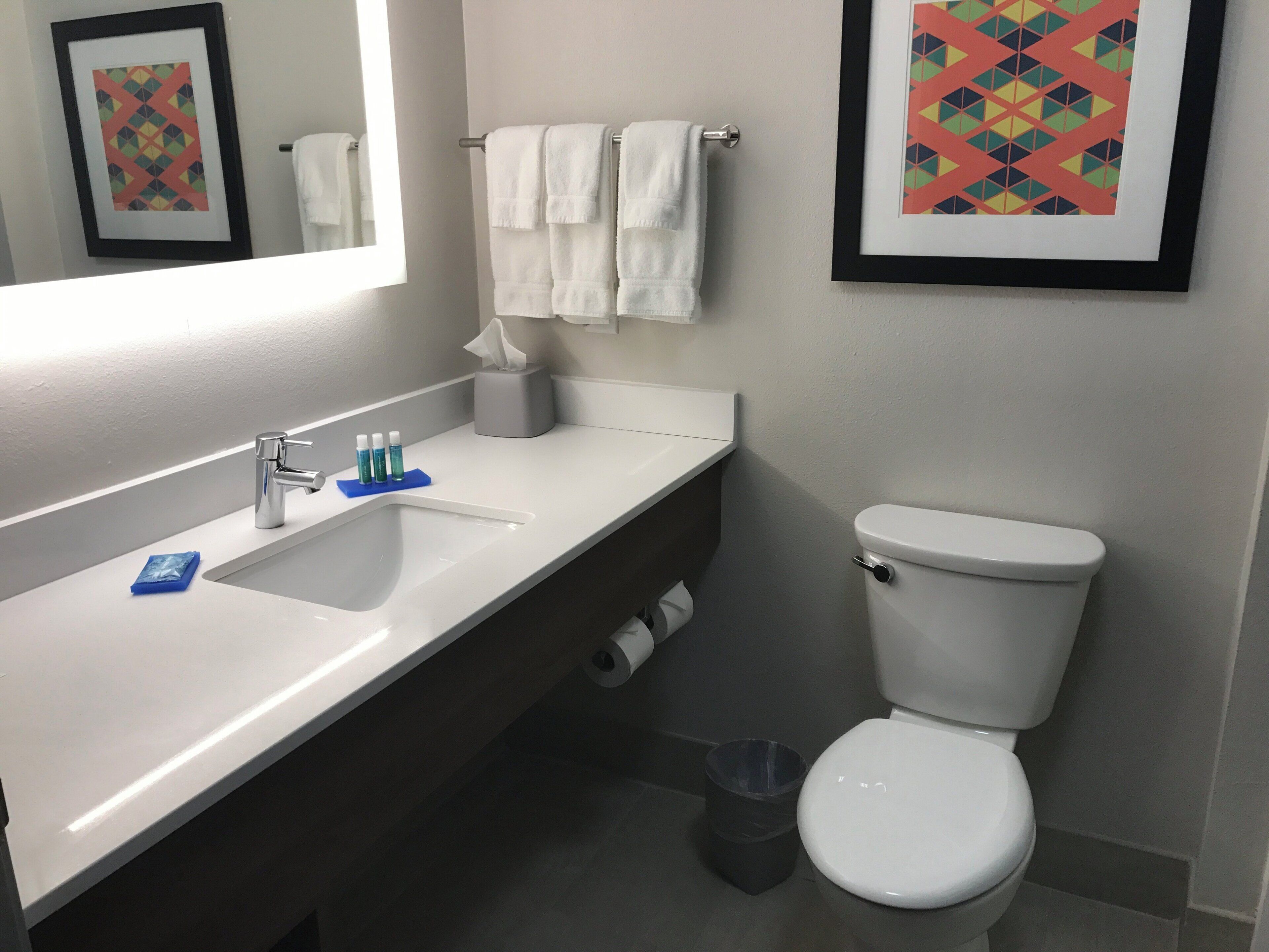 Een badkamer met een wit wastafelmeubel, een spiegel, een toilet en twee afbeeldingen in lijsten aan de muur.